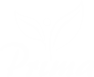 prima-logomarca-branca-300x248-1.png
